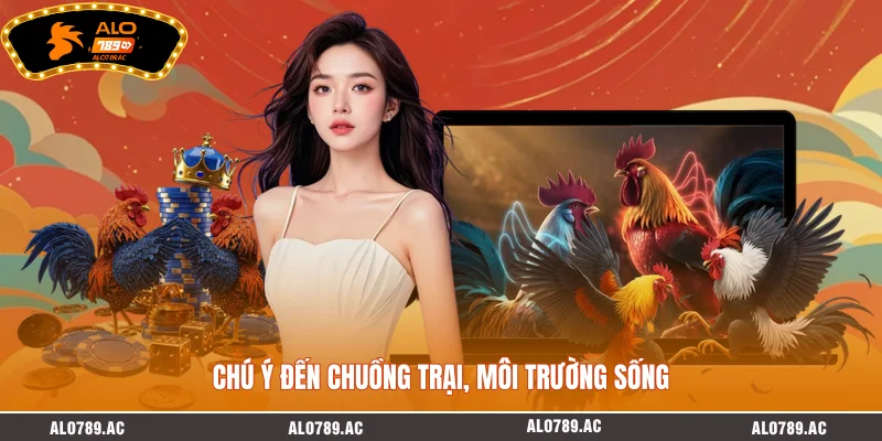 Chú ý đến chuồng trại, môi trường sống