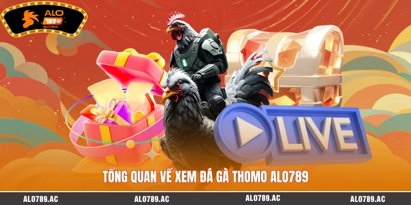 Tổng quan về xem đá gà Thomo ALO789